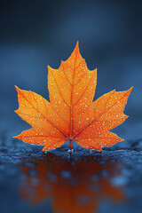 Poster - A close-up of an orange maple leaf covered in morning dew,
