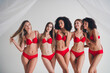 © deagreez - Photo of attractive young girls models hugging posing wear red fashion lingerie isolated white wall background no filter