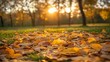 © Антон Сальников - Defocused orange maple leaves on the ground, stock photo