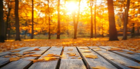 Poster - Sunset at the forest floor, Stocke, Autumn Table - Orange Leaves, Wooden Plank