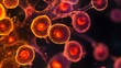 © Instrudify - Microscopic view of bone marrow cells under a biological microscope, glowing with vibrant hues of red and orange.