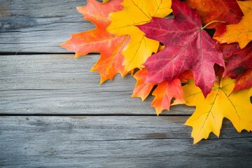 Rustic wood background with autumn sugar maple leaves