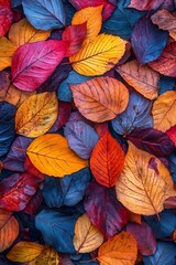 Poster - Vibrant, multicolored autumn leaves create a beautiful, textured pattern, showcasing the rich colors of fall in nature.