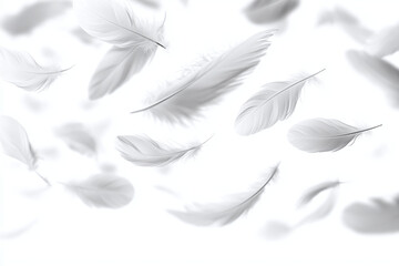 White Feathers Floating in The Air. Abstract Feathers on White Background. Soft White Feathers