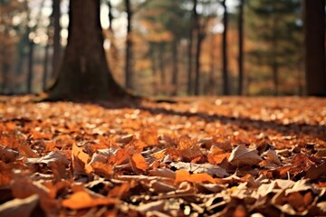 Sticker - Autumn backdrops forest leaves.