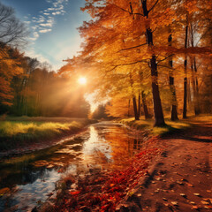Wall Mural - sunny autumn day in the forest