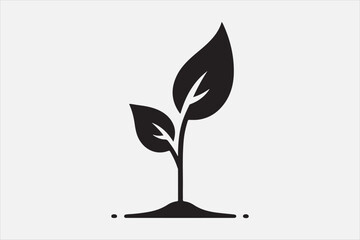 A young plant sprout emerging from the soil.