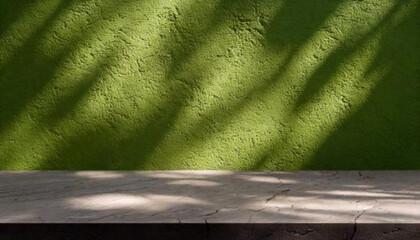 green background green wall,soft beautiful sunlight,shadow of tropical palm leaves on the wall,old rustic wood background
, sustainability concept