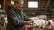 © nikomsolftwaer - Farmer interacting with pigs in their barn, demonstrating hands-on animal care