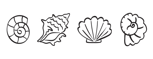 Wall Mural - sea shell collection hand drawn doodle seashells
