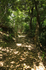 鳥取県岩美町　千貫松島への道