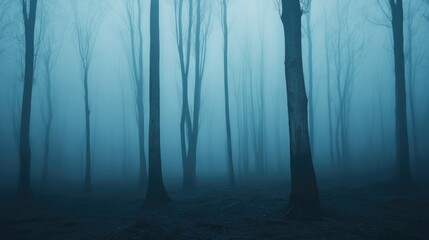Wall Mural - mysterious forest in thick fog