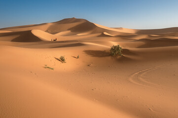 Sahara - sand
Morocco