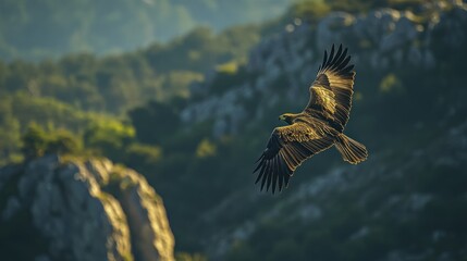 Wall Mural - Golden Eagle Soaring Through the Sky Over a Forest and Rocky Landscape