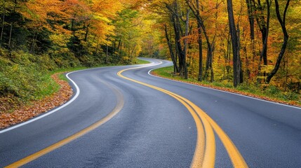 Poster - Winding Asphalt Road Through Colorful Autumn Forest