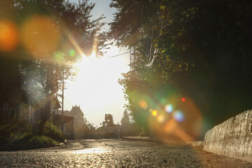 Wall Mural - beautiful view of city with trees in morning