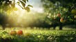 © maesarin - Handpicked organic apples ripening on trees in a sunlit sustainable fruit orchard  A bountiful harvest in a serene eco friendly countryside setting
