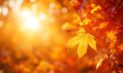 Poster - A golden autumn scene with sunlight filtering through colorful leaves, creating a warm and inviting atmosphere.