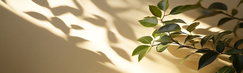 Fototapete - A serene display of leafy shadows on a wall, capturing the peaceful interplay of light and nature.