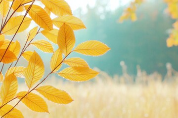 Poster - Golden Autumn Leaves with Morning Dew in Blurred Forest Background