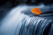 © Naveed - A solitary leaf balanced at the edge of a waterfall, captured just before it falls, showcasing the delicate balance of nature's power.