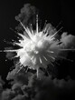 © Global Perspectives - Super nova in black and white Smoke Explosion Backdrop
