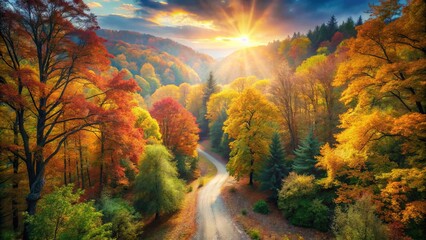 Enchanting autumn forest trail bathed in soft, dreamy light, offering stunning nature photography that captures the tranquil beauty of the changing