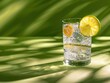 © sandor - Refreshing glass of bubbly water with lime and lemon.