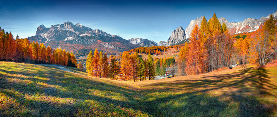 Wall Mural - panoramic autumn view of countryside outskirts of cortina d'ampezzo town. great morning scene of dol