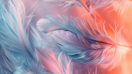 Canvas Print - Colorful Feathers in Soft Pastel Shades