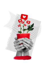 Leinwandbilder - Poster image collage of woman arms fingers hold ug growing flowers social media like isolated on drawing background