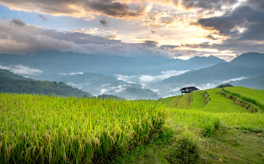 Community tourism - Nam Hong village is one of the attractive destinations. This is a place with beautiful natural landscapes, where mountains and forests meet and terraced fields meet.