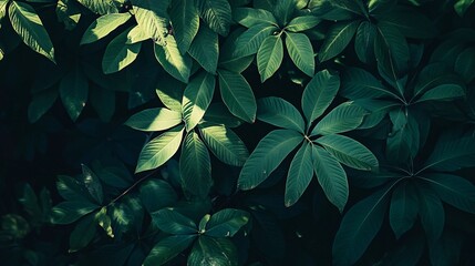 Sticker - Lush green leaves with intricate veins and shadows, creating a tropical, botanical texture.