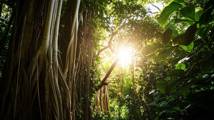 Wall Mural - sunlight filtering through the canopy of a dense tropical rainforest, illuminating the intricate net