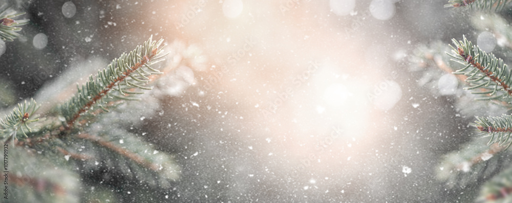 Branches of winter Christmas tree on background of Christmas lights and snow.