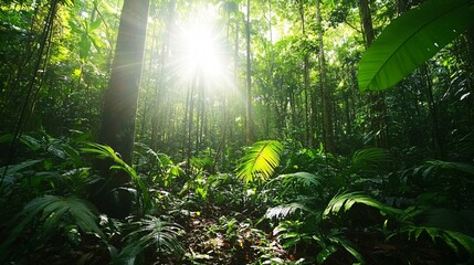 Wall Mural - sunlight streams through a dense, lush jungle canopy, illuminating the verdant undergrowth.