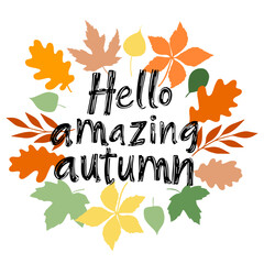 Wall Mural - autumn lettering with oak, maple leaves, and pumpkin on a white background. perfect for thanksgiving