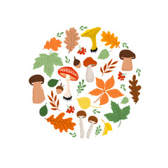 Wall Mural - autumn greeting card with mushrooms, berries, oak leaves, fir branches, acorns on white background. 