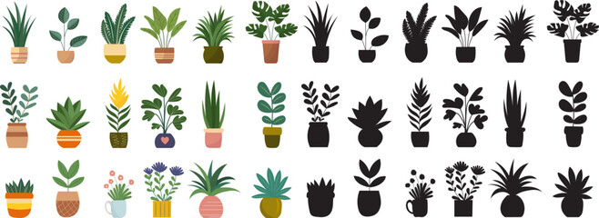 Wall Mural - set of house plants in flat style on white background, vector