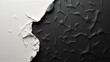 © Michael - Textured Black Material on Rough White Surface: Abstract Contrast for Design, Branding, or Artistic Backgrounds