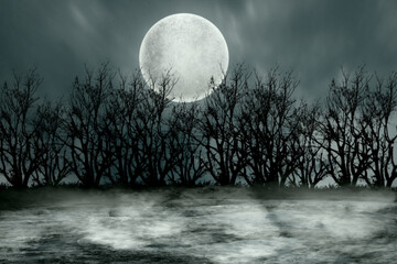 A large of full moon is in the sky above a grass with sky is dark. Dramatic smoke or fog effect. Mockup. Copy Space