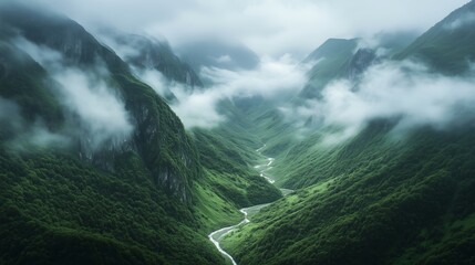 Mysterious green mountains, aerial photography of high mountain peaks shrouded in clouds and mist, a winding stream flowing through the valley between two steep cliffs