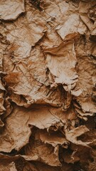 Canvas Print - Close-up of Textured Dry Leaves in Earthy Tones