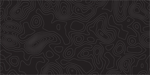 Poster - Abstract white on black background Topographic line map pattern. Contour elevation topographic and textured Background Modern design with black background with topographic wavy patted.	
