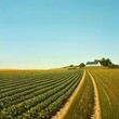 © Theeranan - A vast expanse of farmland with neat rows of green crops, leading toward a distant farmhouse under a clear blue sky