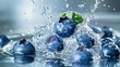 © Theeranan - Blueberry hitting water, creating a dynamic splash effect with droplets in mid-air, against a clean background