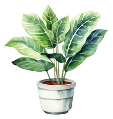 Wall Mural - PNG Plant leaf potted plant houseplant.