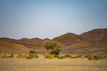 saudi highway