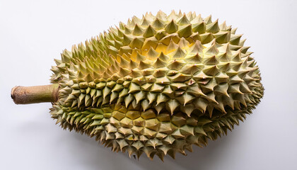 durian fruit, isolated on a clean white background