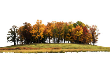 Wall Mural - autumn trees scenery landscape isolated on transparent or white background, png